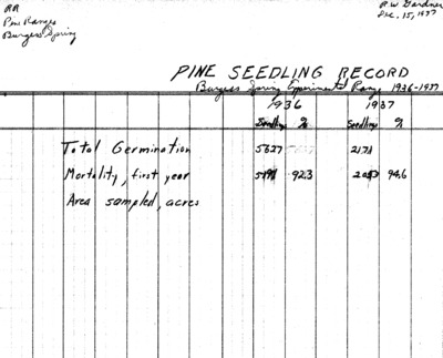 pine seedlings record