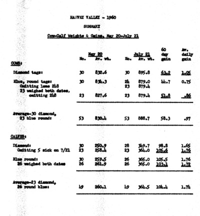 Cattle Weights