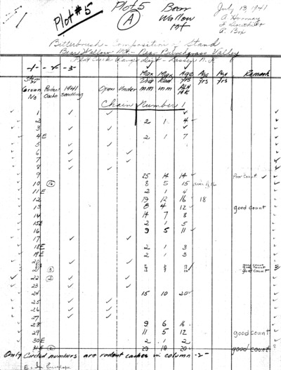 Purshia tridentata, Life History, Bear Wallow