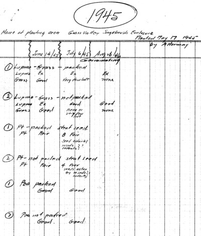 Re-seeding, Sagebrush Exclosure, Grass Valley