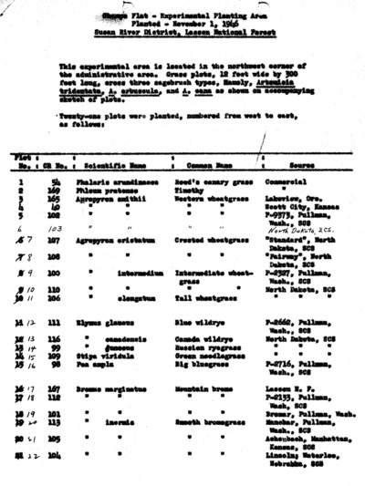 Experimental planting, Champs Flat