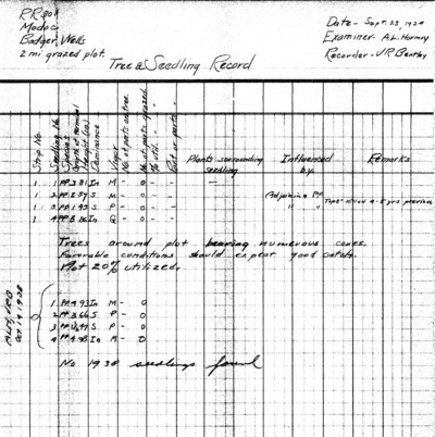 Modoc, Badger Wells, Tree and Seedling Record Counts (RR301)