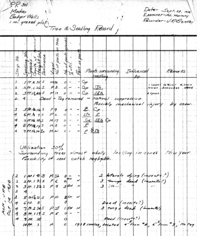 Badger Wells, pine regeneration, sheep one-mile plots