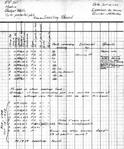 Badger Wells, pine regeneration, sheep two-mile plots