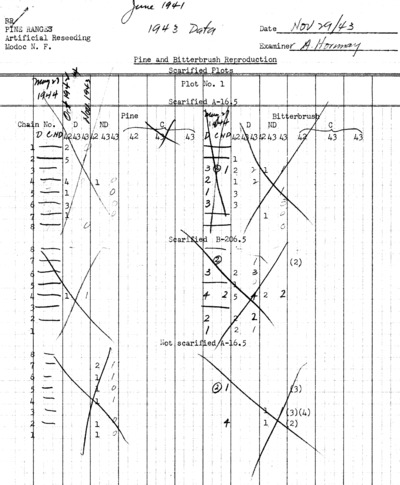 East Badger Well, Scarification project