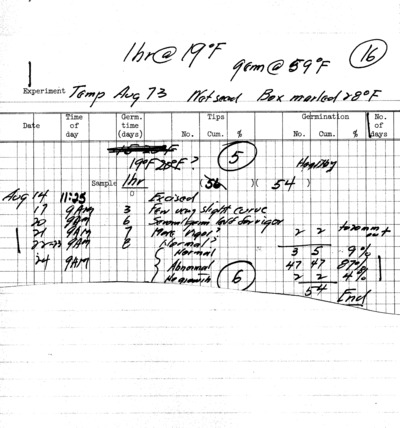 Experiment Temperature, August 1973