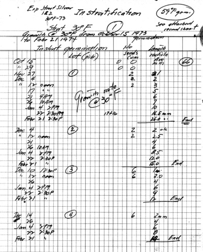 Experiment Stratified, silver