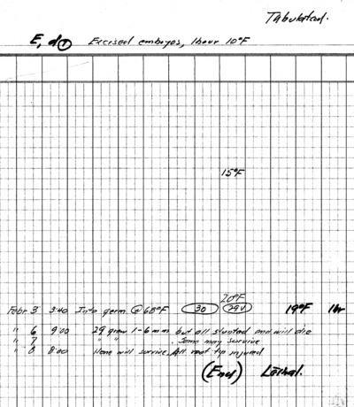 February Experiment E, d1 excised Embryos