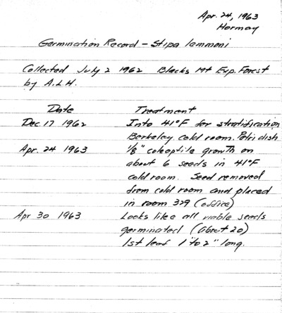 Stipa lemmoni Germination record collected from Blacks Mountain, Lassen National Forest