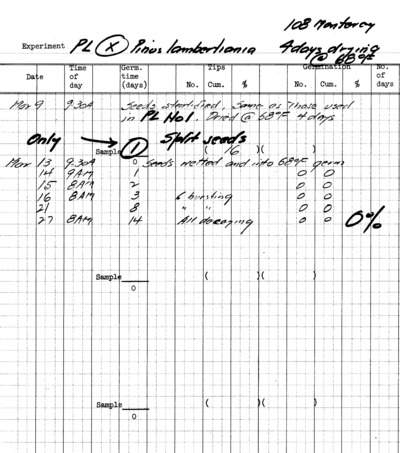 Pinus lambertiana Experiment PL No. 1, Dried Four Days at 68 Fahrenheit