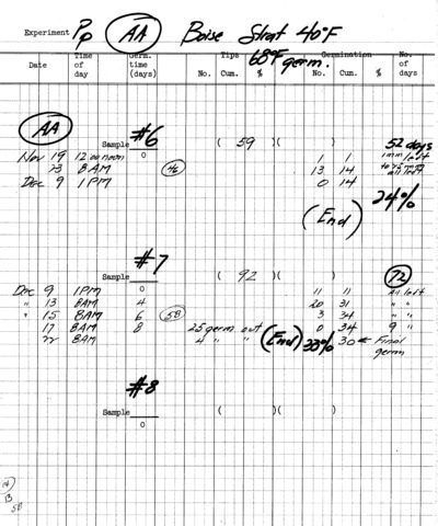 Pinus ponderosa Experiment Pp Boise, 40 F, 68 Fahrenheit Germination