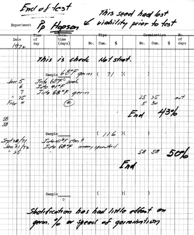 Pinus ponderosa Experiment Pp Hopson