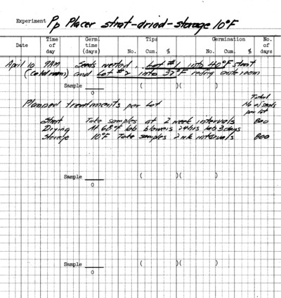 Pinus ponderosa Experiment Pp Placer strat, Dried storage 10 Fahrenheit
