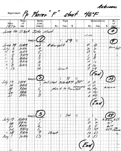 Pinus ponderosa Experiment Pp Placer F, Stratified 45 Fahrenheit