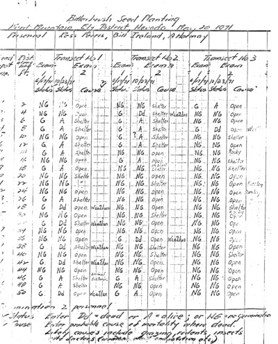 Field tests: Purshia tridentata Seed planting, Ely District, Nevada