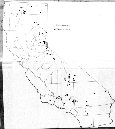 Map of Purshia tridentata and Purshia glandulosa in California