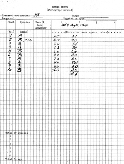 Plot No. 8