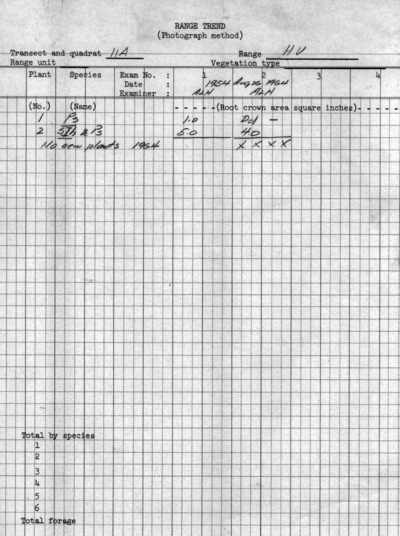 Plot No. 11