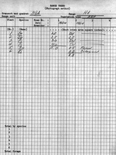 Plot No. 39