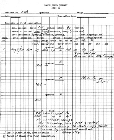 Plot No. 59