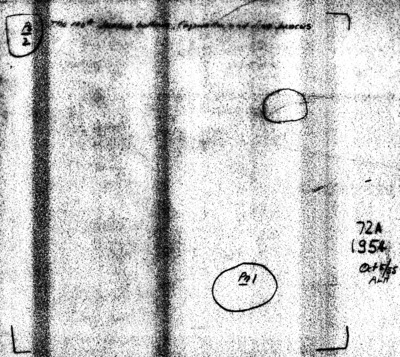 Plot No. 72