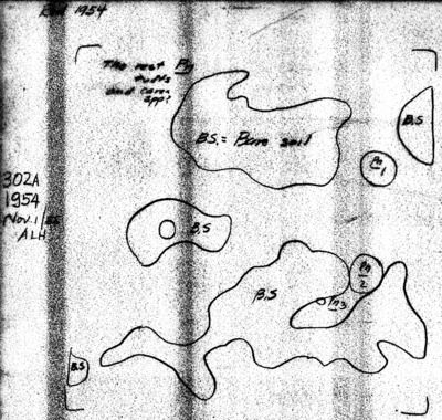 Plot No. 302