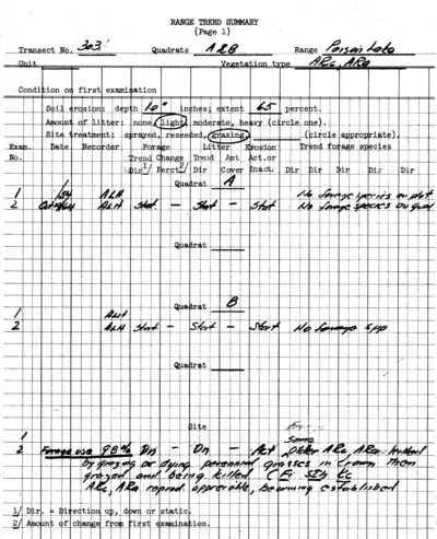 Plot No. 303