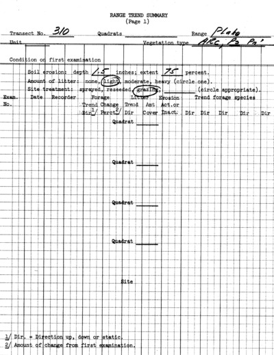 Plot No. 310