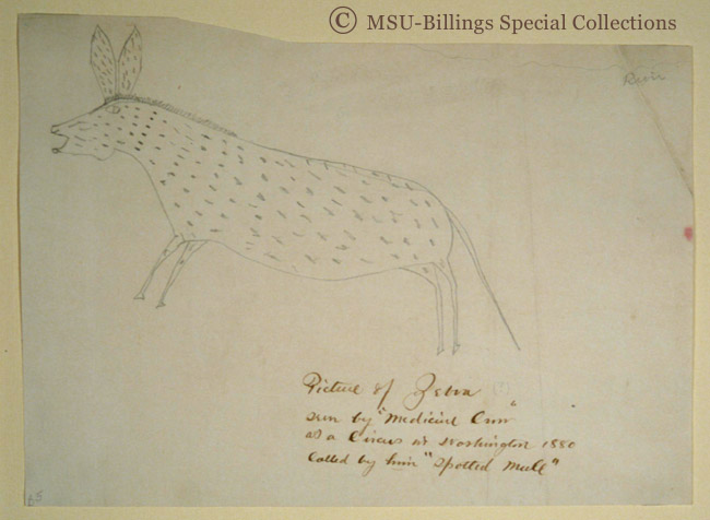 Ledger Drawing of Circus Zebra