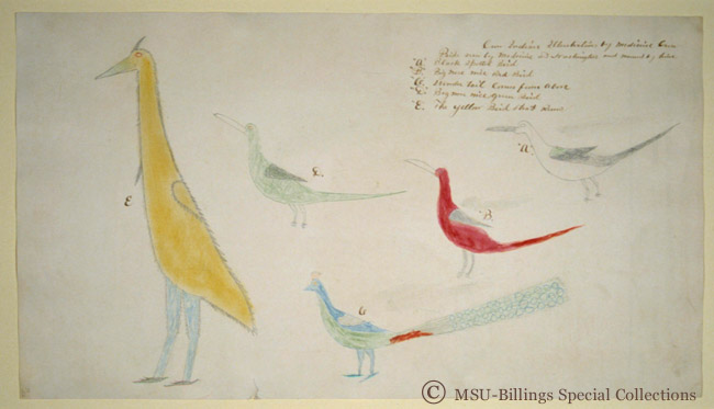 Crow Indian Illustrations