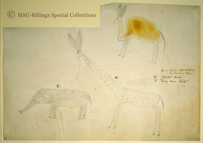 Crow Indian Illustrations