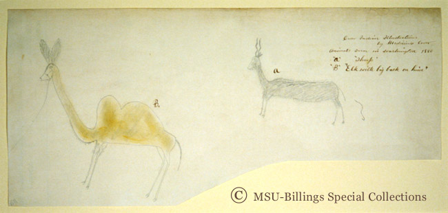 Crow Indian Illustrations