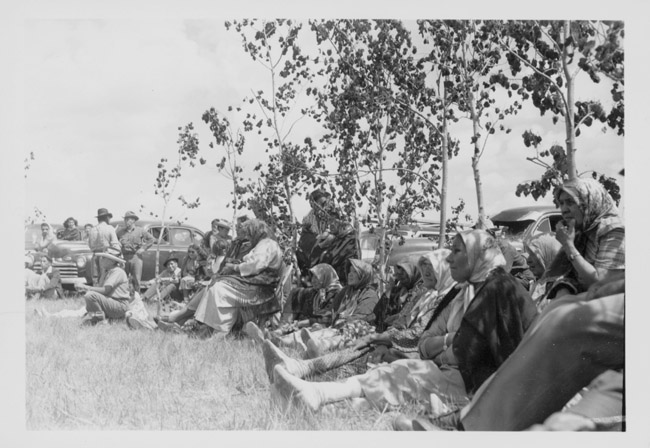 Chippewa/Cree, Rocky Boy Reservation, Montana