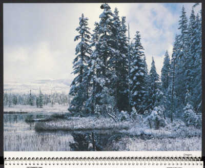 Calendar, 1995
