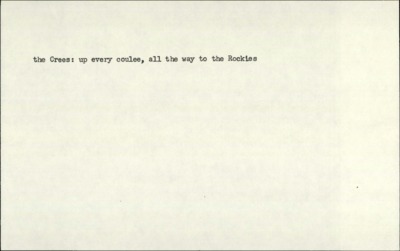 Prairie Nocturne--Striper