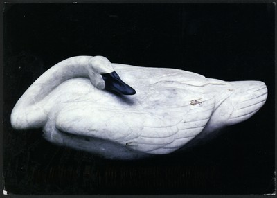 David Williams