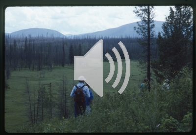 All Things Considered, English Creek - December 17, 1984