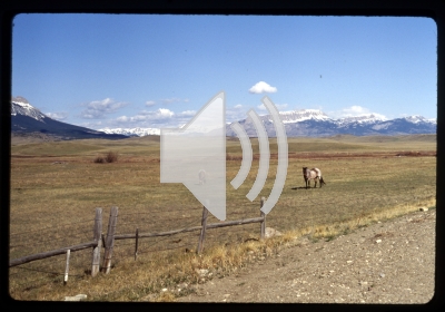 Florence and Tom Friedt, Bynum area, 1900-1918 - May 9, 1984