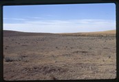 Grassland and fence