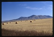 East Butte of Sweetgrass Hills