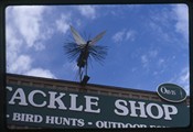 Ennis Montana - tackle shop\