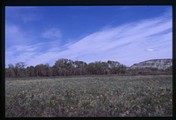 Two Medicine River bottom lands