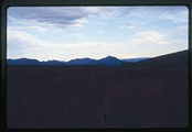 Denali Park, Alaska - tree silhouettes atop hill ridge