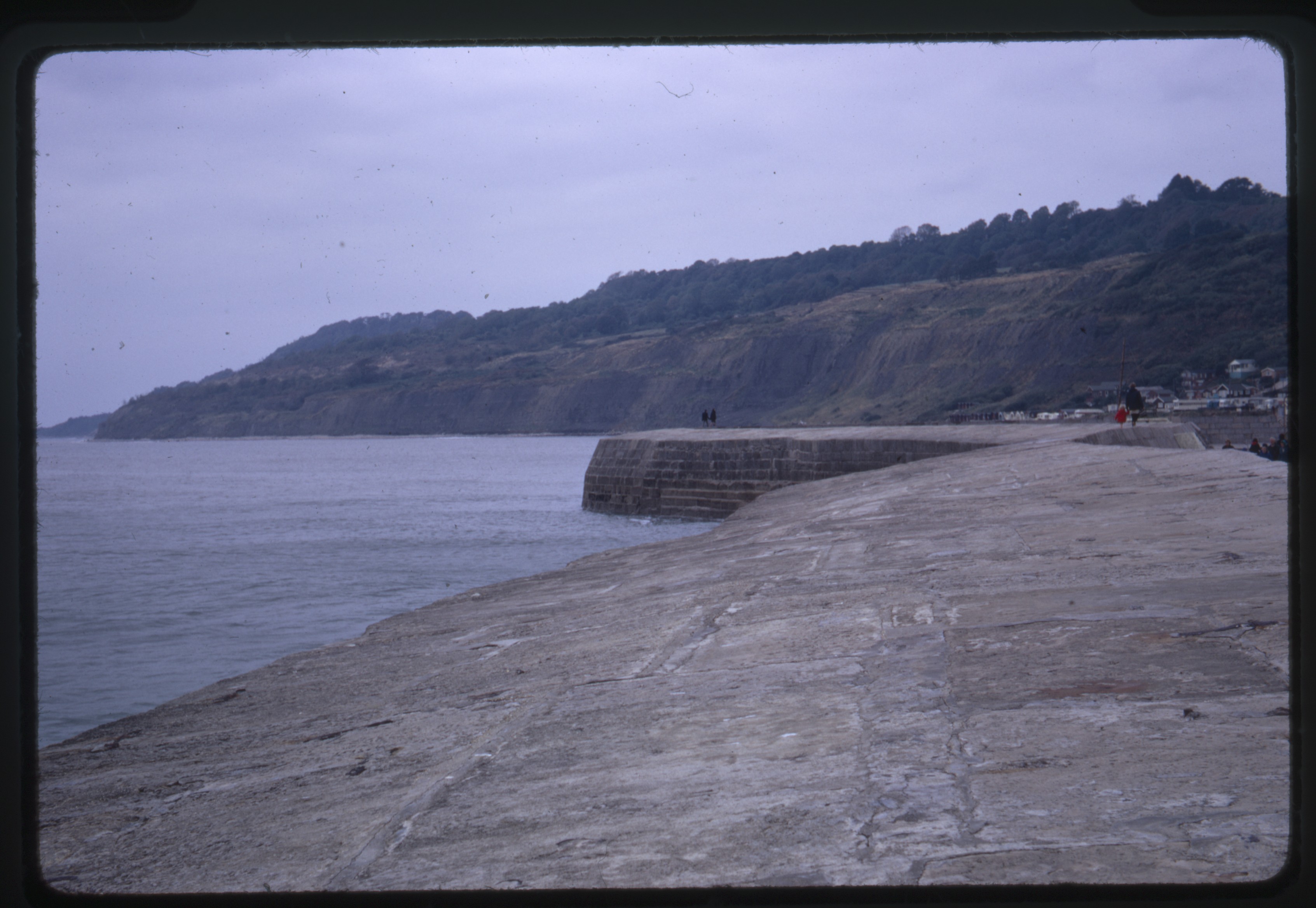 Ware Cliffs, from the Cobb in Lyme Regis, England
