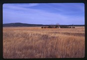 Mora County, New Mexico - building in distance at Fort Union