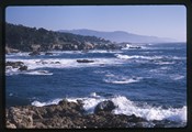 Point Lobos, California - seascape across Whaler's Cove
