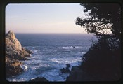 Point Lobos, California - seascape of Big Dome Cove