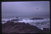Carmel, California - Ocean near Jeffers' house with seagull overhead