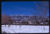 Albuquerque, New Mexico - view of Sandia Mountains over neighborhood