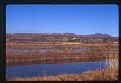 Bosque del Apache, New Mexico - a heron stands on a strip of land between rivers